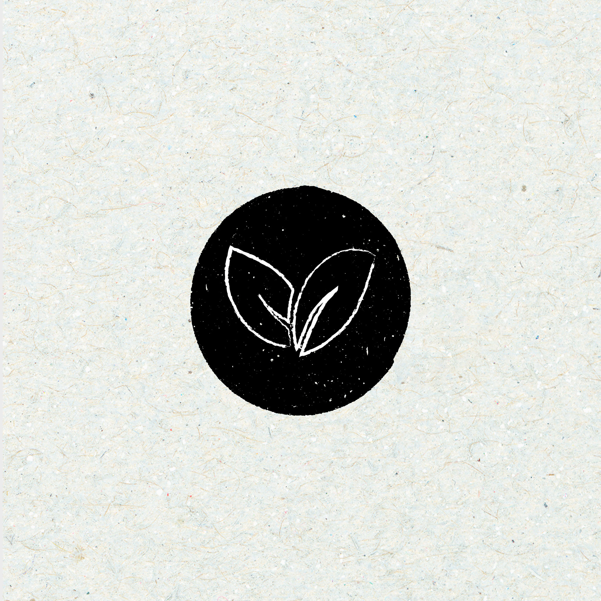 ICONOS-2