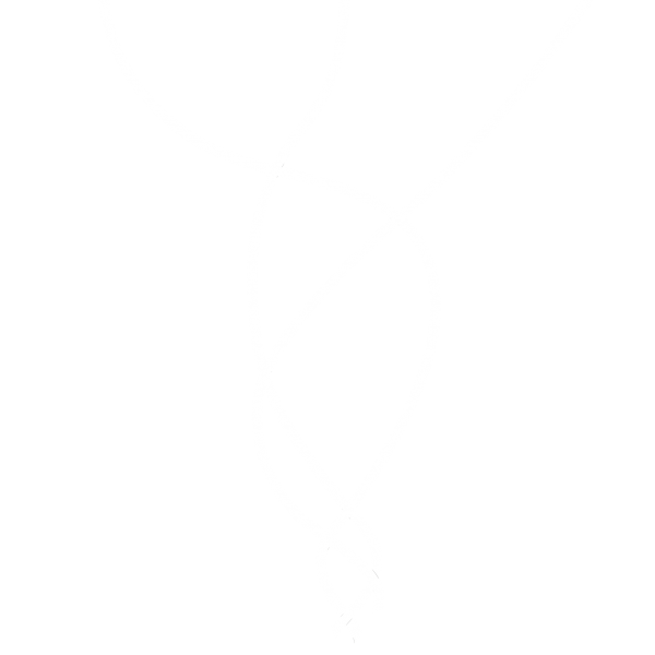 trenza-21